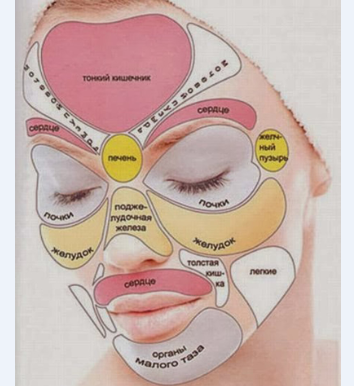 Лицо. Зоны отражения внутренних органов на лице