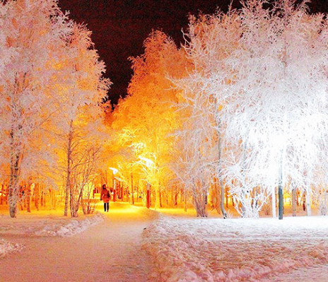 Фото. Сколько красоты…