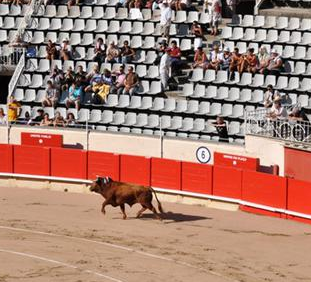 Зрелище Коррида Castellon 11-3-2012 Concurso de recortes Видео