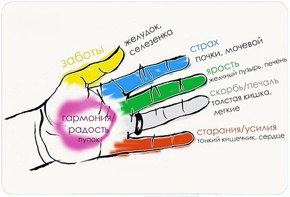 Пальцы. Секрет гармонии ТЕЛА и ДУШИ! оказывается, человеческие органы неразрывно связаны с ПАЛЬЦАМИ.