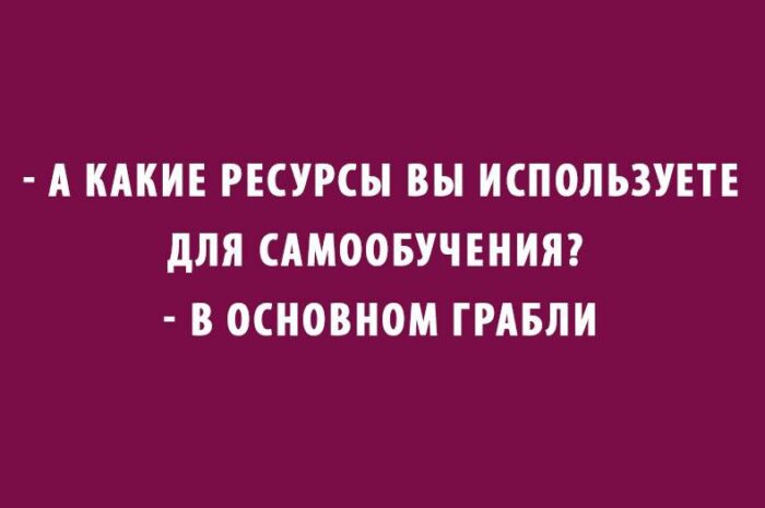 Смех с IQ: подборка интеллектуального юмора