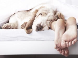 13 привычек, которые улучшат твою продуктивность и здоровье