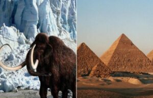 9 знакомых с детства фактов, которые оказались неправдой