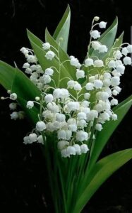 И так бывает…