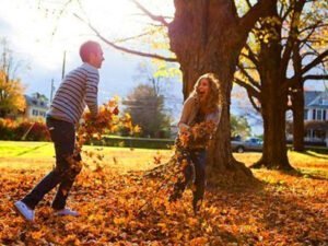 Темперамент человека зависит от сезона, в котором он родился