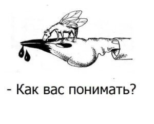 Кое-что о русском языке.