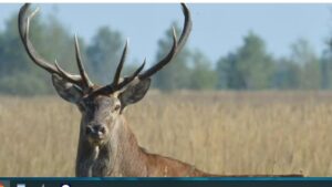 Биолог из Чернобыля сказал на конференции в Праге: