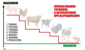 Узнайте В Каком Мясе Нет Гормонов и Антибиотиков  Видео