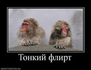 Пять типов флирта