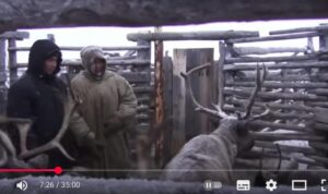 Племя в Арктике которое шокировало учёных, мурашки по коже…  Видео