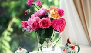 5 поучительных историй с хорошим настроением