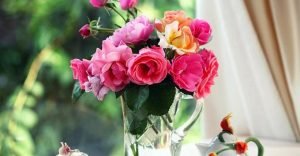 Давным-давно…