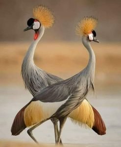 Я люблю Тебя…