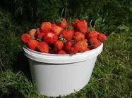 «— Зачем ты этo делаешь, папа?..»