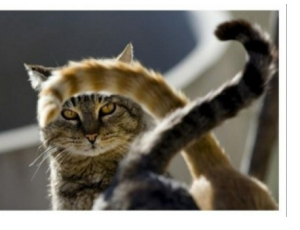 Ищу любовь, интим не предлагать…