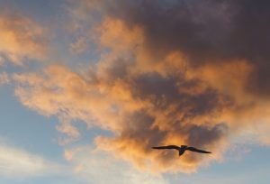 Однажды ты смиряешься и перестаёшь раниться об несовершенство мира. Мудреешь.