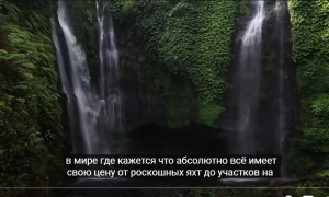 Этого питомца не может позволить даже Илон Маск, только всмотритесь…  Видео