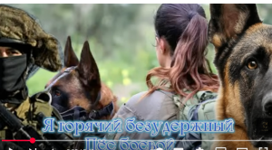 Сергей Горелик — " ПЁС " / Посвящение четвероногим бойцам подразделения " Oketz " .  Видео