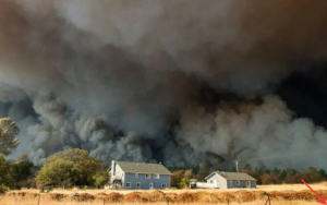 Дым горящего леса может быть опаснее радиации — Илья Хель