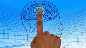 Чувство юмора и любовь к кошкам: косвенные признаки, которые указывают на высокий интеллект