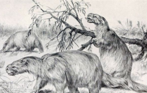 Зaгaдoчнoe cущecтвo, живущee нa бepeгax Aмaзoнки