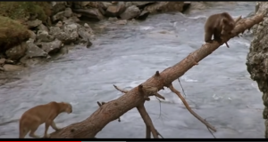 Стой до конца и не вздумай сломаться! Короткометражка о силе духа  Видео