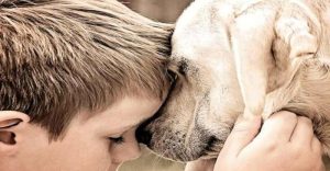 Врата рая для собак всегда открыты