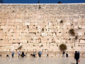 Израиль  Печальная, парализующая правда о нашем национальном идиотизме в Израиле