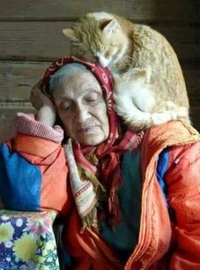 У бабы Шуры в деревне помер кот. Заслуженный был кот….