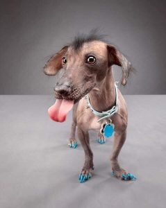 Самый короткий вопрос? Кому повезло?!