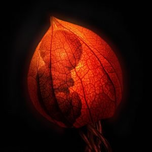 Ирония судьбы: МАМОЧКИ МОИ!