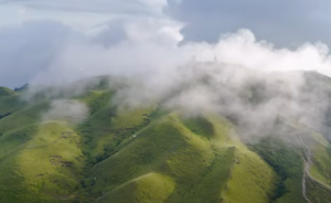 Ученые не могут объяснить, почему это аудио лечит людей — Чудесная исцеляющая флейта в мире  Видео