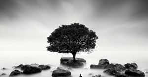 Соблюдайте правило трех «Б», чтобы вам перестали завидовать и говорить о вас гадости