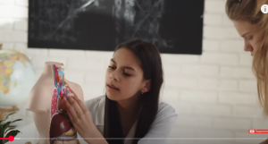 99% людей даже не догадываются! Жир печени исчезает навсегда — секрет Ханса Поппера