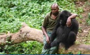 «Я с тобой, маленький». Чуткий смотритель не смог пройти мимо горя малыша-гориллы