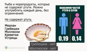 Рыба и ртуть: Как избежать отравления при выборе морепродуктов?