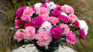 К.Г. Паустовский — «Начало неведомого века».