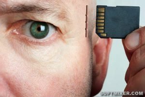 Пять загадок мозга