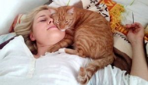 Что обозначают выбранные места и позы животных