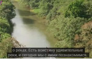 Что там под водой? Документальный фильм  Видео
