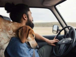 Одиночество приравнивается к болезни и с ним необходимо бороться