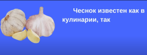 ..Ешьте ЧЕСНОК, но НИКОГДА НЕ ДОПУСКАЙТЕ ЭТИ 8 ОШИБОК.