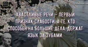 Мудрость Цицерона, Которая До Сих Пор Пробирает До Мурашек!  Видео