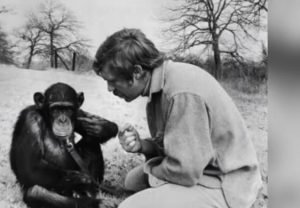 ГИБРИД ЧЕЛОВЕКА И ОБЕЗЬЯНЫ — реальный эксперимент СССР 1927 года! Архивы рассекречены  Видео