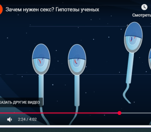 Мультик про секс на постнауке  Видео