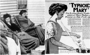 Как кухарка из Ирландии чуть не извела всех богатых американцев: «Тифозная Мэри»