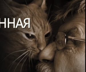 Рассказ. Олег Бондаренко —  "Одолженная жизнь". Читает Андрей Кравец  Видео