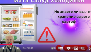 9 продуктов, которые нельзя хранить в холодильнике: важные советы для здоровья