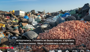 На свалку выбросили 20 000 яиц. Спустя три месяца произошло немыслимое!  Видео