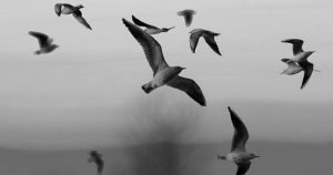 «Мне хочется с тобой наедине остаться где-нибудь у моря» — теплое стихотворение Кости Крамара